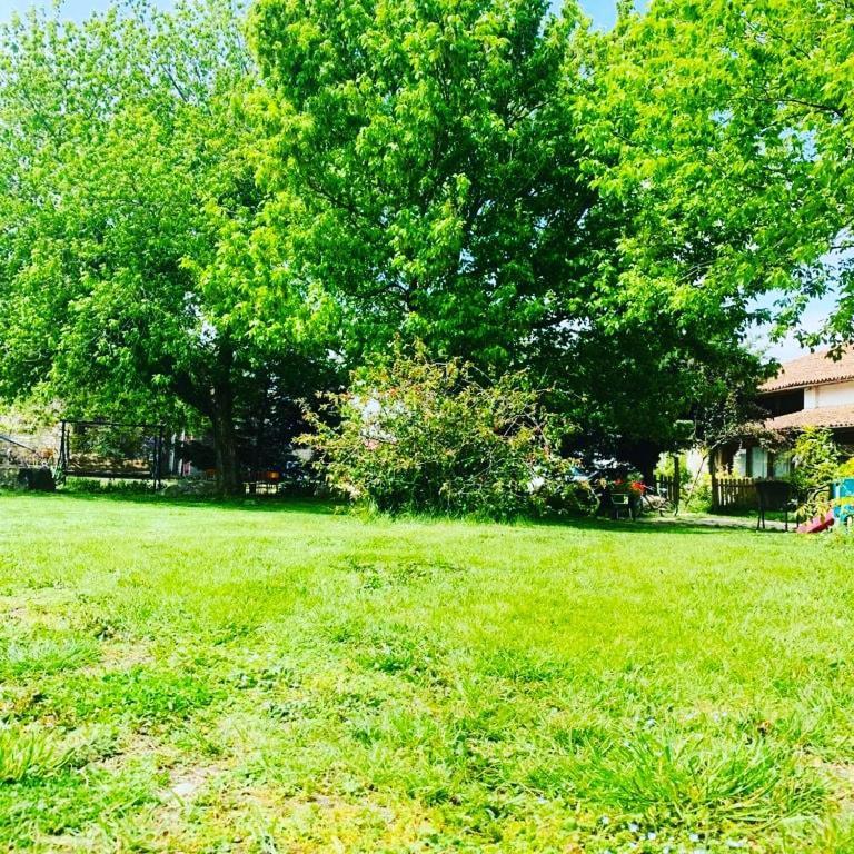 Agriturismo La Pace Villa Valeggio sul Mincio Bagian luar foto