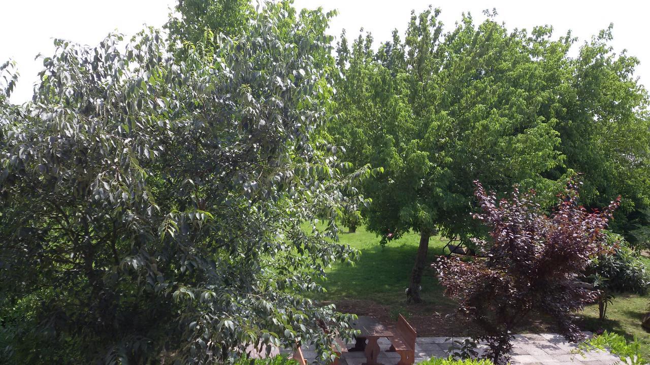 Agriturismo La Pace Villa Valeggio sul Mincio Bagian luar foto